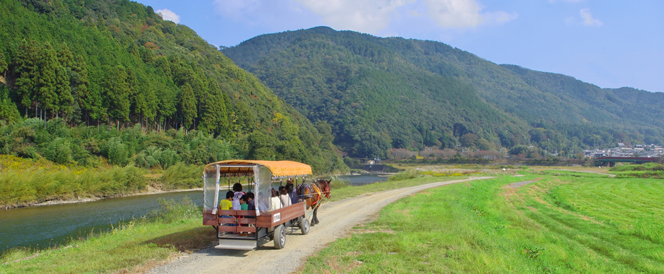 11月下旬の馬車道、風は冷たいけど馬は元気です