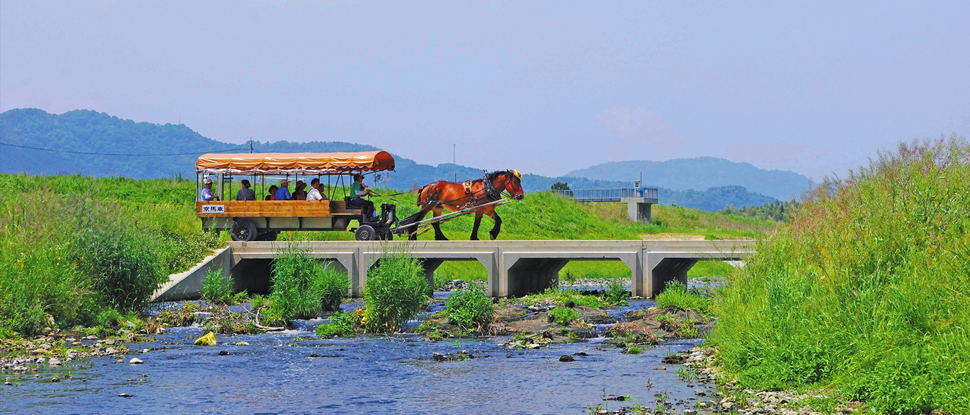 御者目線。。。