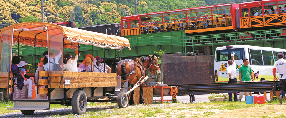 請田神社と保津川、このあたりから流れが急になります。