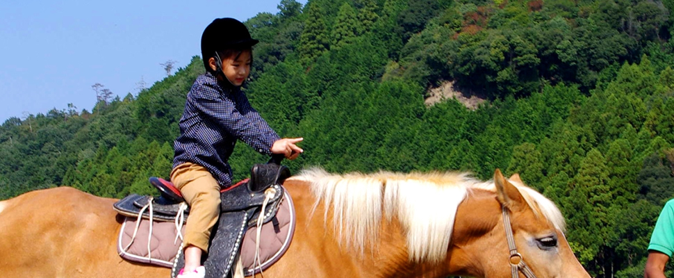 出発して5分でこのあたりを通ります。